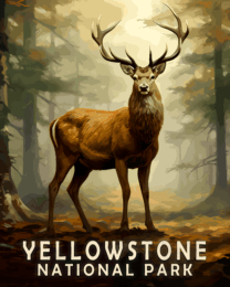 Buck Deer - Yellowstone National Park Art Print