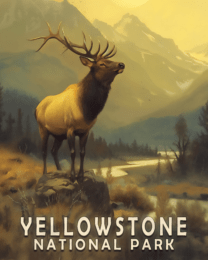 Elk - Yellowstone National Park 8"x10" Art Print