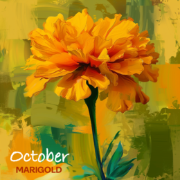 OCTOBER MARIGOLD flower art print