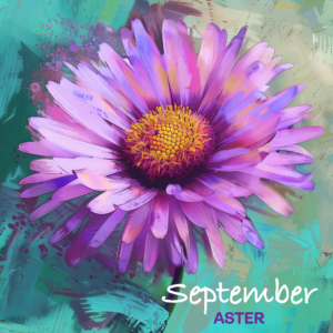 SEPTEMBER ASTER flower art print