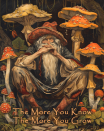 The More You Know, The More You Grow Wizard Art Print