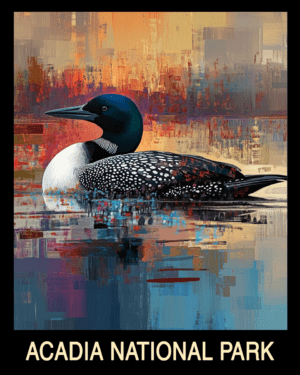 Loon - Acadia Maine Souvenir Home Decor Wall Art Prints