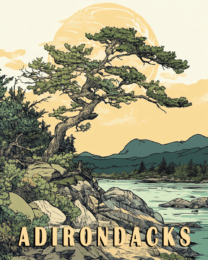 Mt. Marcy Conifer - Adirondack State Park Home Decor Wall Art Prints