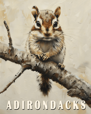 Baby Chipmunk - Adirondack State Park Souvenir Home Decor Wall Art Prints