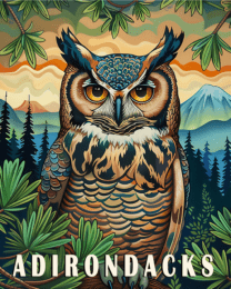 Great Horned Owl - Adirondack State Park Souvenir Home Decor Wall Art Prints