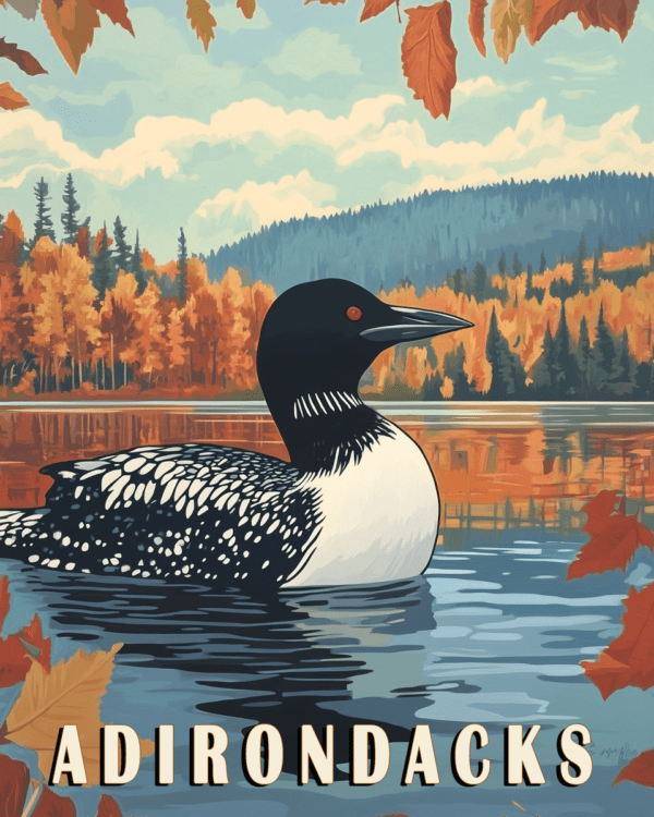 Vintage Adirondack Loon Poster - Adirondack State Park Home Decor Wall Art Prints