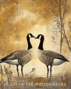 Canadian Geese - Love in the Adirondacks - Adirondack State Park Home Decor Wall Art Prints