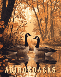 Canadian Geese - Adirondack State Park Home Decor Wall Art Prints