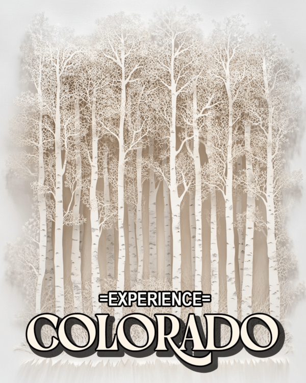 Lacey Aspens - Colorado Souvenir Home Decor Wall Art Prints