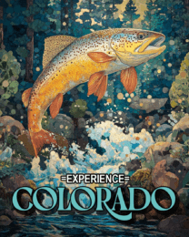 Trout Fishing - Colorado Souvenir Home Decor Wall Art Prints