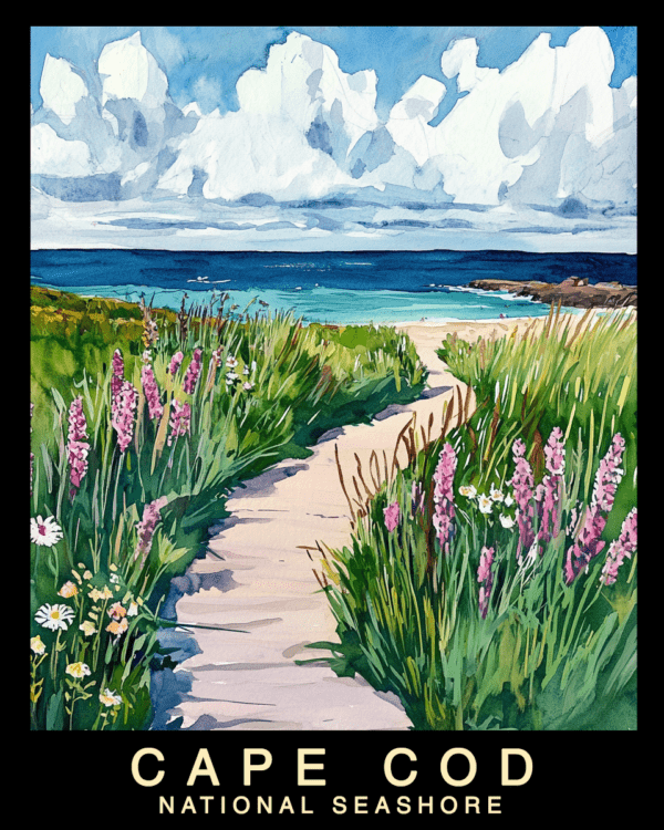 Beach Path - Cape Cod Souvenir Home Decor Wall Art Prints