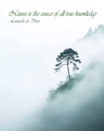 Nature is the source of all true knowledge - Leonardo da Vinci - Inspirational Wall Art