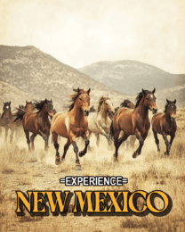 Herd of Horses - New Mexico Souvenir Home Decor Wall Art Prints