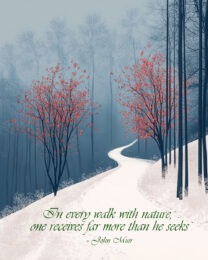 In every walk with nature, one receives far more than he seeks– John Muir - Inspirational Wall Art Prints