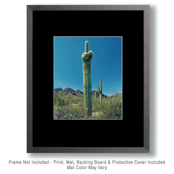 Saguaro Giving the Finger Art