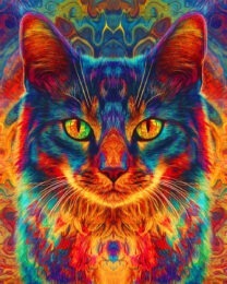 Psychedelic Kat - Cat and Kitten Wall Art Prints