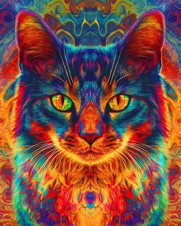 Psychedelic Kat - Cat and Kitten Wall Art Prints