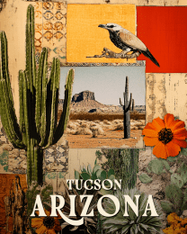Tucson Collage