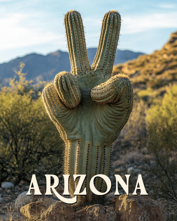 Saguaro Peace Sign - Arizona