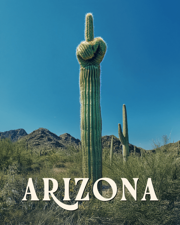 Saguaro Giving the Finger - Arizona