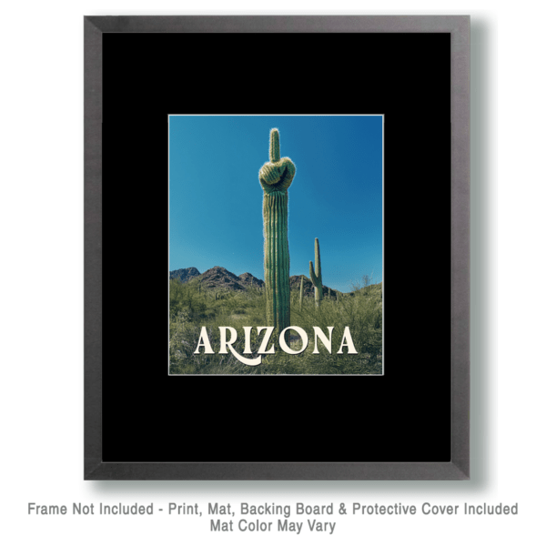 Saguaro Giving the Finger - Arizona Art