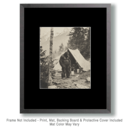 Sasquatch Camp