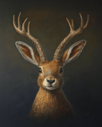 Jackalope