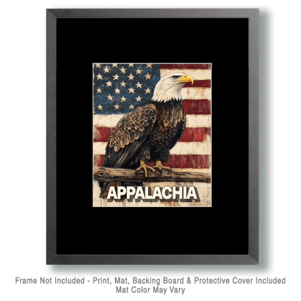 American Bald Eagle - Appalachia