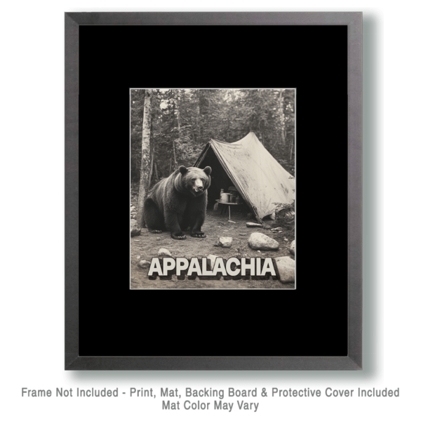 Bear in Camp - Appalachia