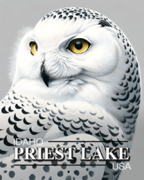 Priest Lake Snowy Owl - Idaho Souvenir