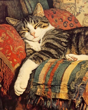 Comfortable Cat - Vintage Art