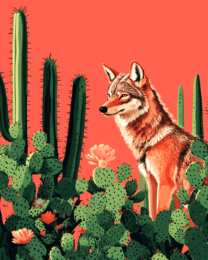 Desert Coyote - Southwestern Wall Art Prints