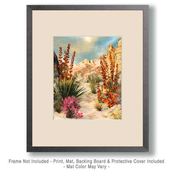 Sonoran Desert Flora - Southwestern Wall Art Prints