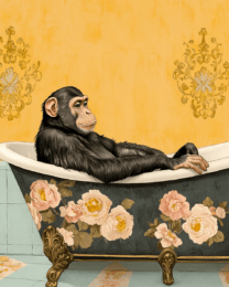 Monkey in Bathtub