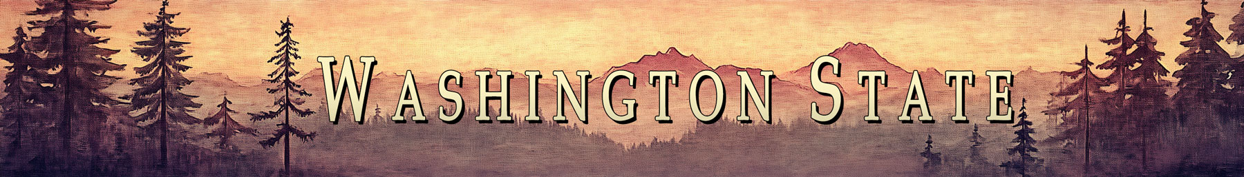 Washington State Banner