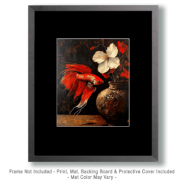 Red Betta Siamese Fighting Fish Art