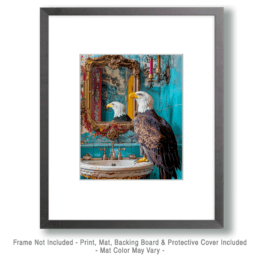American Bald Eagle Looking in Mirror Art
