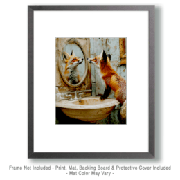 Red Fox Looking in Mirror Art