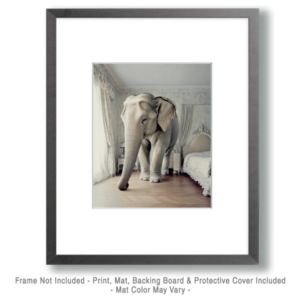 The Elephant in the Bedroom Art