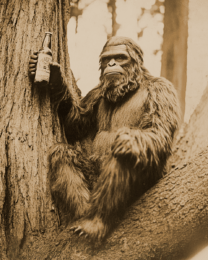 Bigfoot Relaxing with a Beer