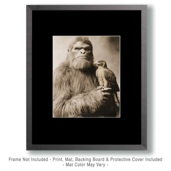 Sasquatch Falconry Art