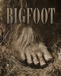 The Bigfoot