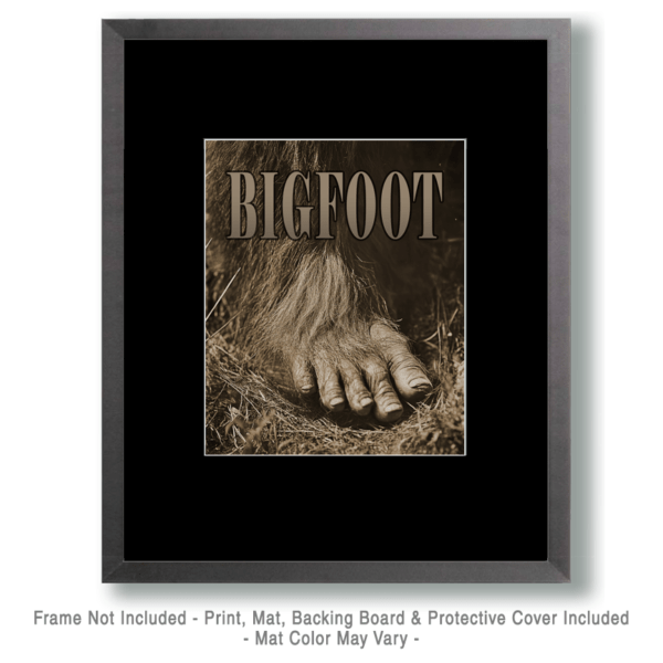 The Bigfoot Art