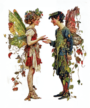 Fairy Conversation