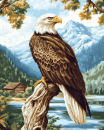 Bald Eagle Perched Above Lake