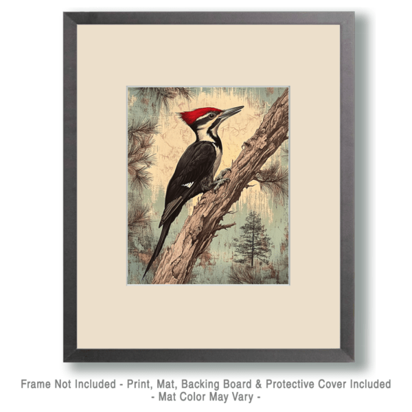 Vintage Pileated Woodpecker Print Art