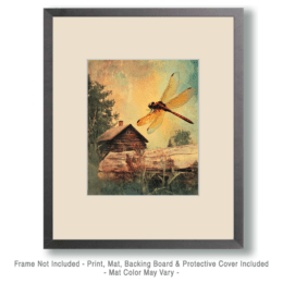Vintage Dragonfly and Cabin Art