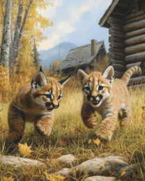 Mountain Lion Cubs Playing