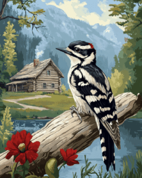 Downy Woodpecker by Homestead