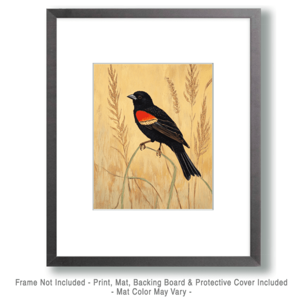 Redwing Blackbird by Homestead Art